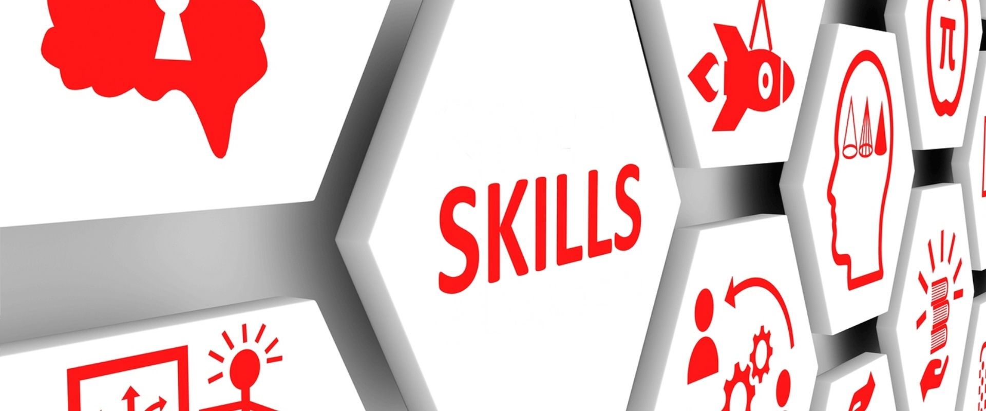 Đánh giá kỹ năng nghề quốc gia kỳ III - năm 2026